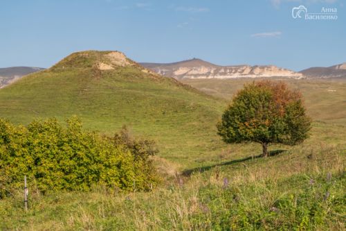 Хумаринское городище